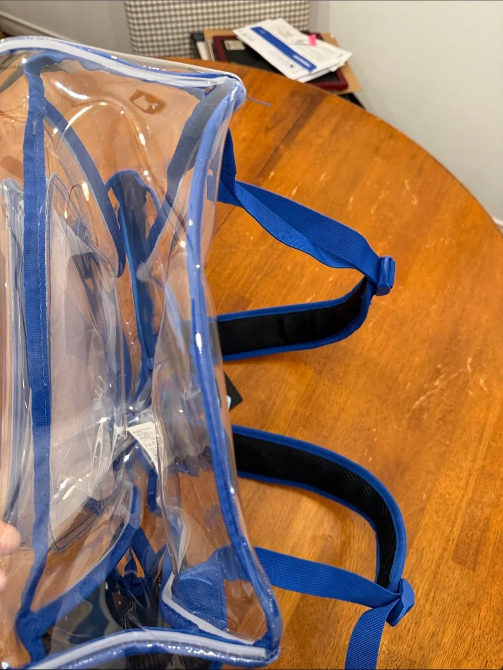 Nike Clear Backpack with Blue Trim and Matching Pouch